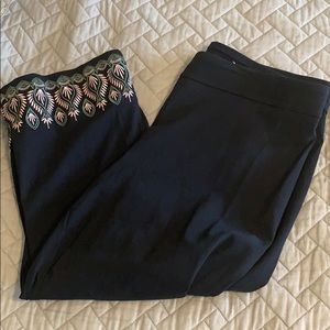 𝑆𝑡𝑟𝑒𝑡𝑐ℎ𝑦 𝑐𝑎𝑝𝑟𝑖